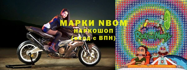 хмурый Алзамай
