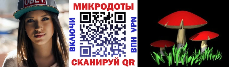 наркотики  Полтавская  Псилоцибиновые грибы мухоморы 